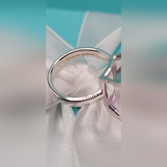 Tiffany & Co Rare Love Bugs Amethyst Butterfly Ring sz 6 - NEW - Authentic - Picture 6 of 9